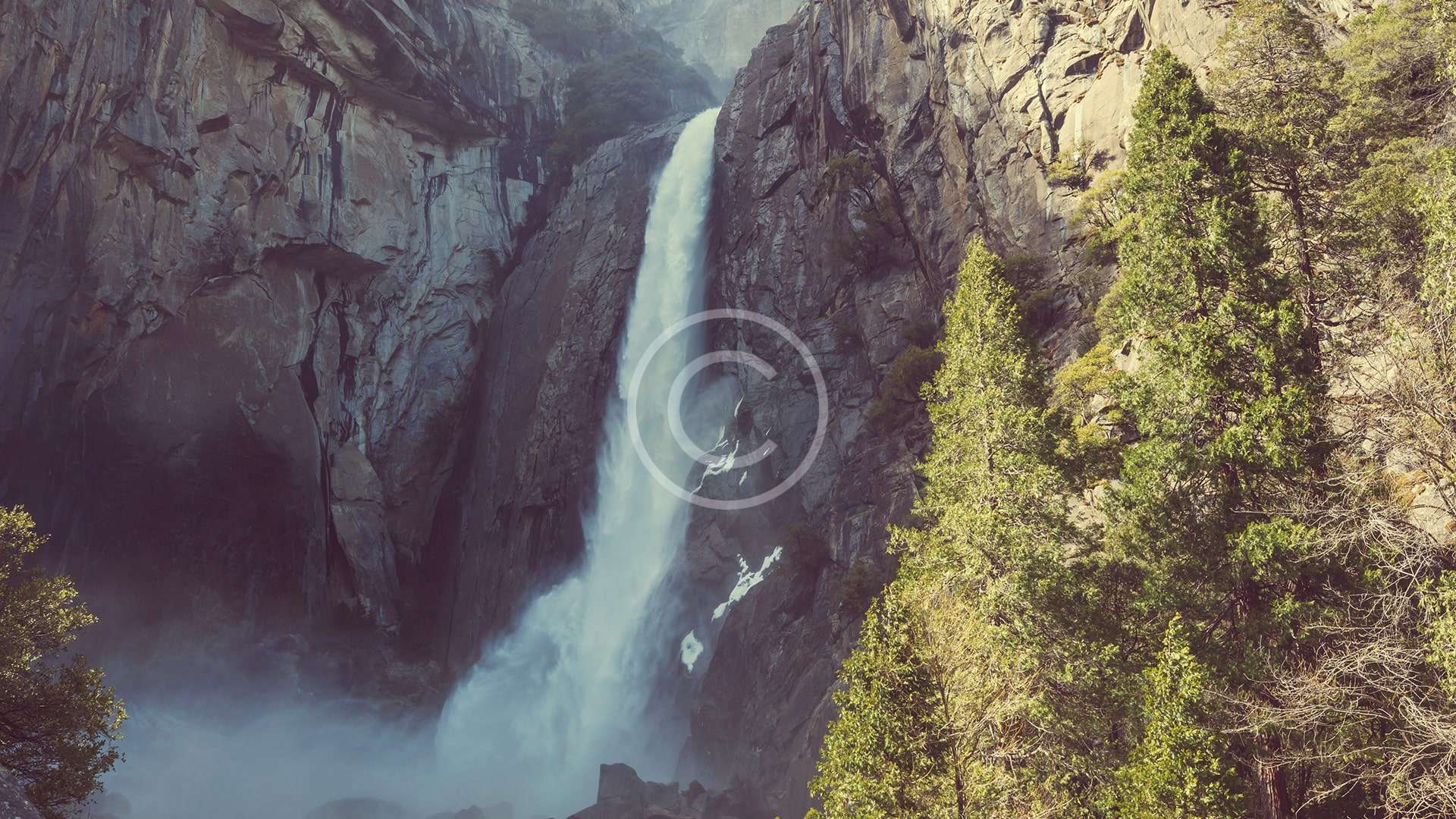 National Forest Tours